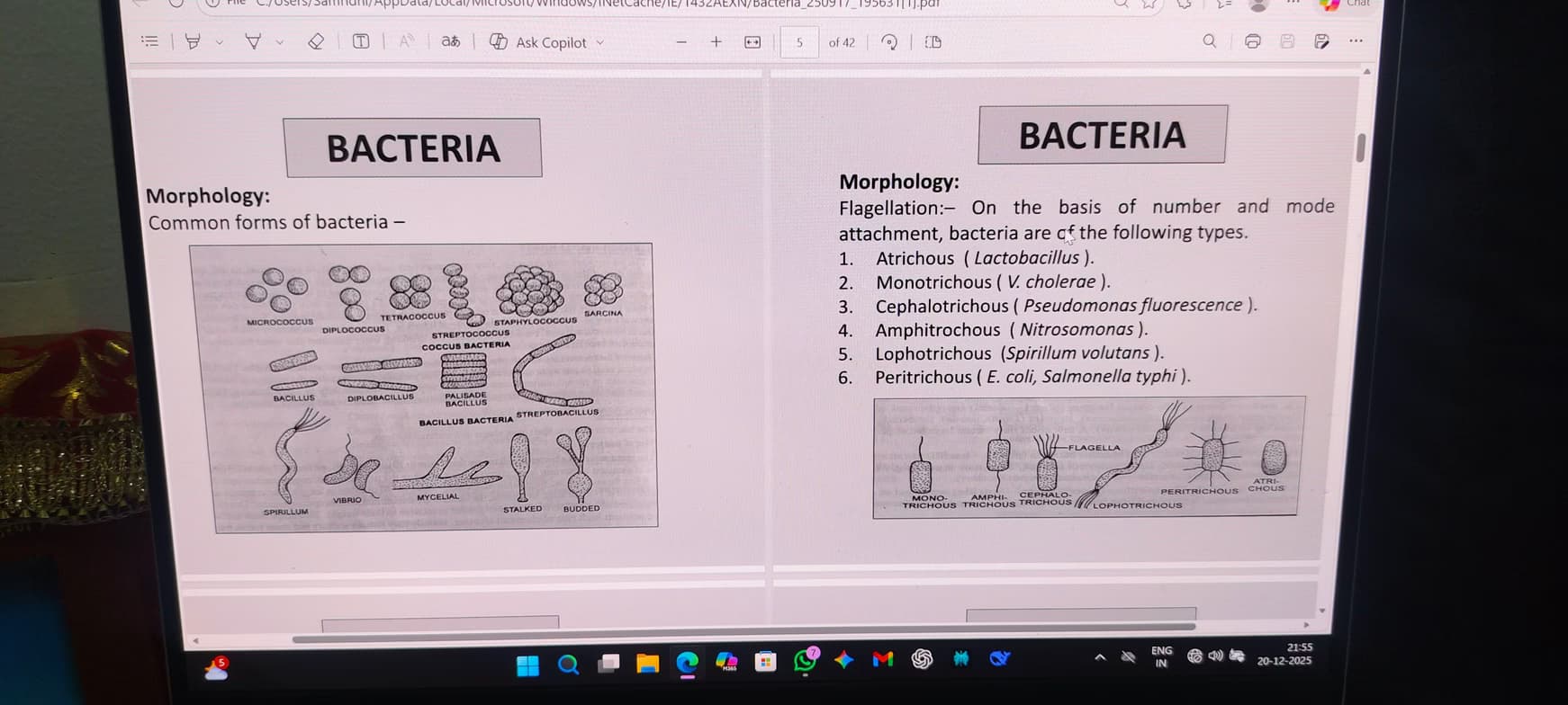 Biology learning materials by Samridhi  