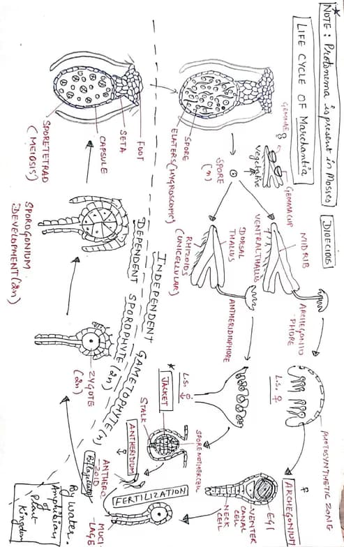 Biology learning materials by Anjali 
