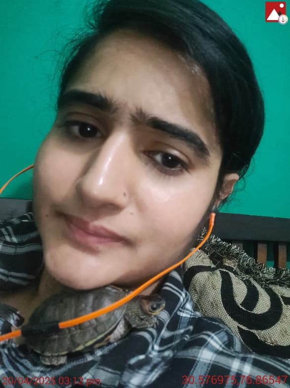 Profile photo of Kartika, Mathematics tutor at Wiingy 