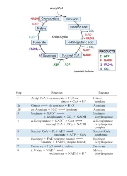 Biology learning materials by Anjana  