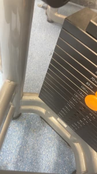 Salmahenjoying a hobby outside teaching 