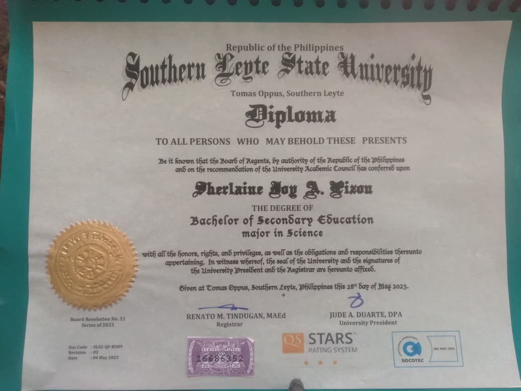 Verified degree or teaching certification of Sherlaine Joy 