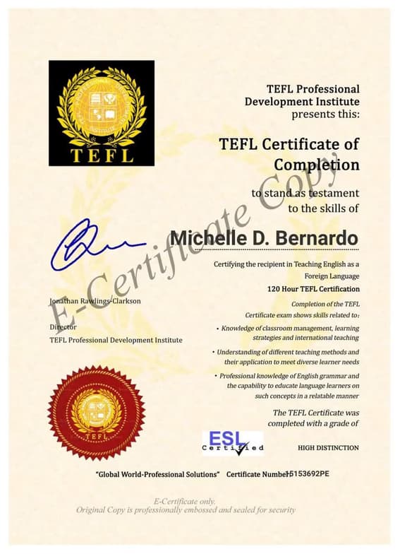 Verified degree or teaching certification of Michelle  