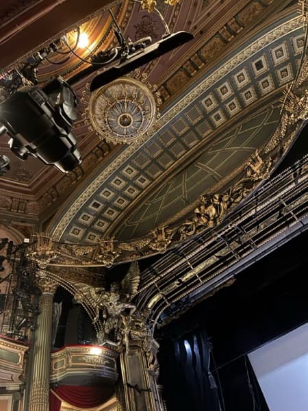 Casual photos of Lucy , Wiingy tutor 