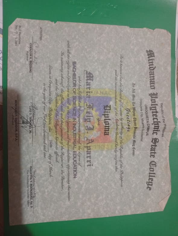 Verified degree or teaching certification of Fel 