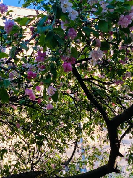 Travel snapshot of Sumeera during a trip 