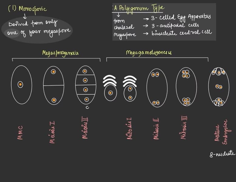 Biology learning materials by Khushmeet 