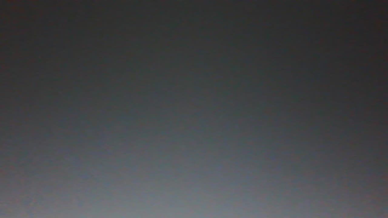 Profile photo of Ronan, Biology tutor at Wiingy 