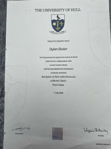 Verified degree or teaching certification of Dylan  