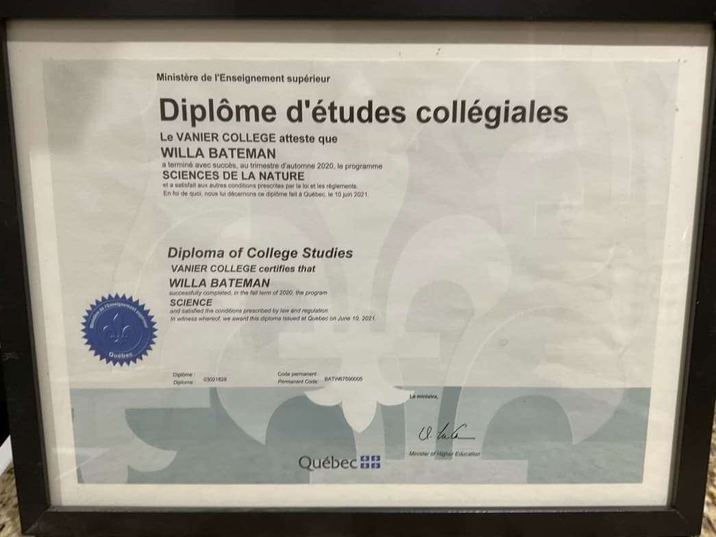 Verified degree or teaching certification of Willa 