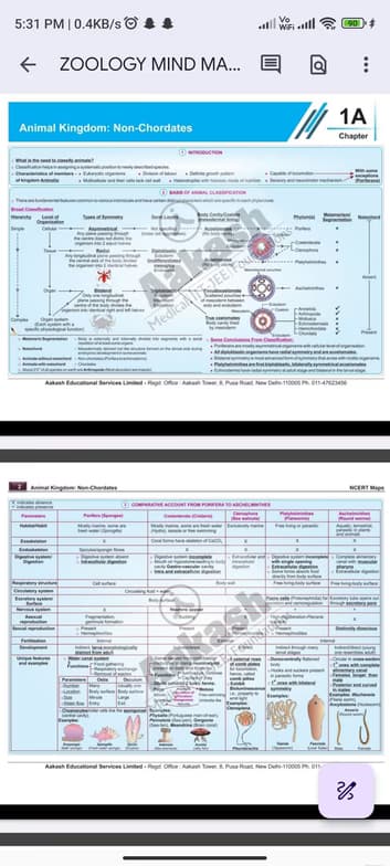 Live performance with Biology by Piyush 
