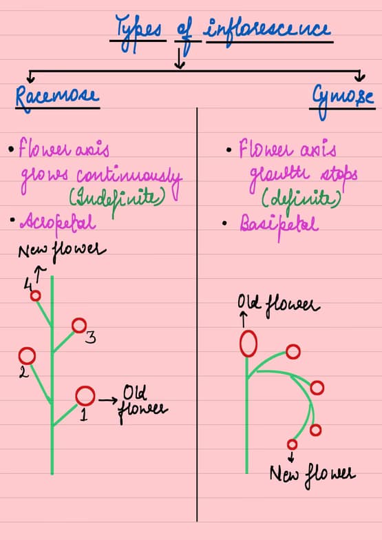 Biology learning materials by Nikita  