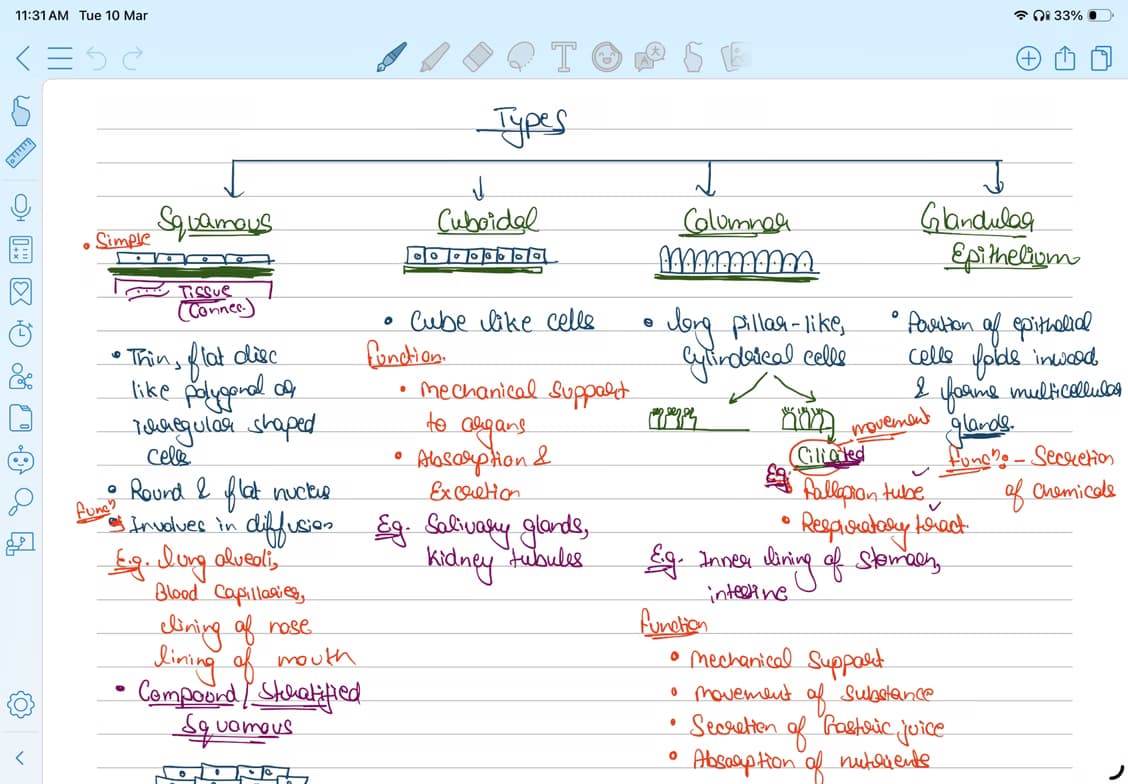 Live performance with Biology by Sonu 