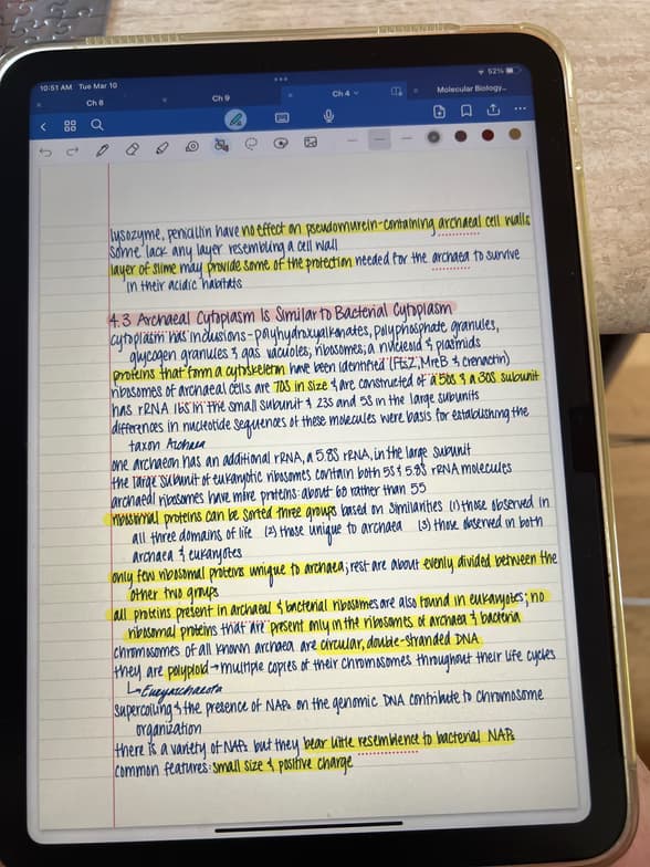 Live performance with Biology by Katelynn  