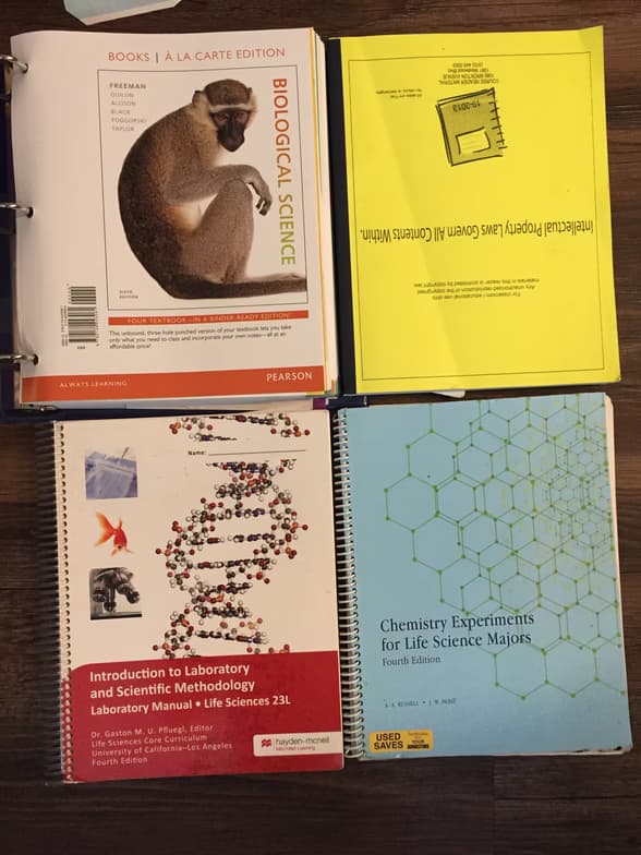 Live performance with Biology by Eli 