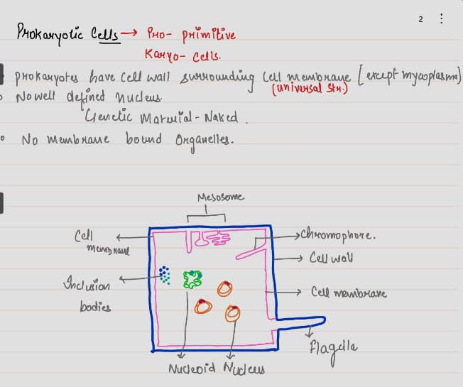 Live performance with Biology by Anchal 