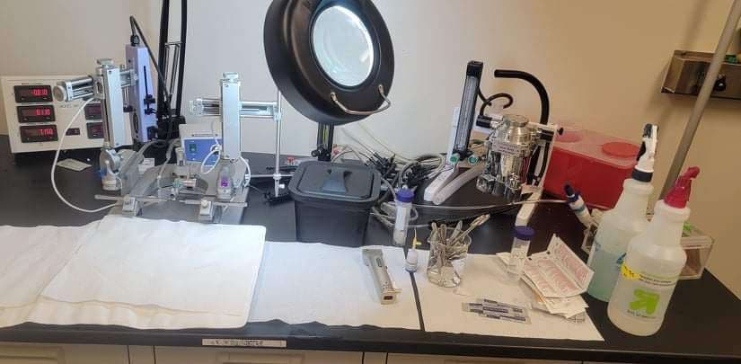 Biology learning materials by Danitra 