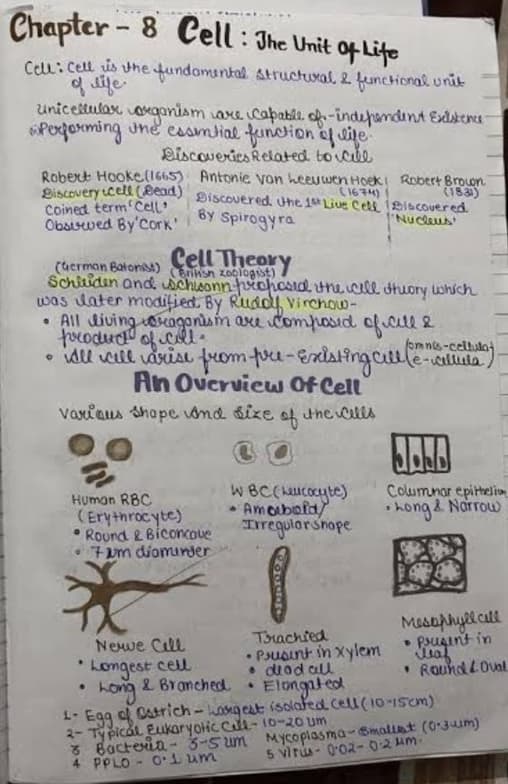 Live performance with Biology by Anjali 