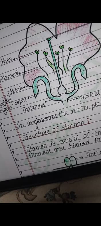 Biology learning materials by Pallavi 