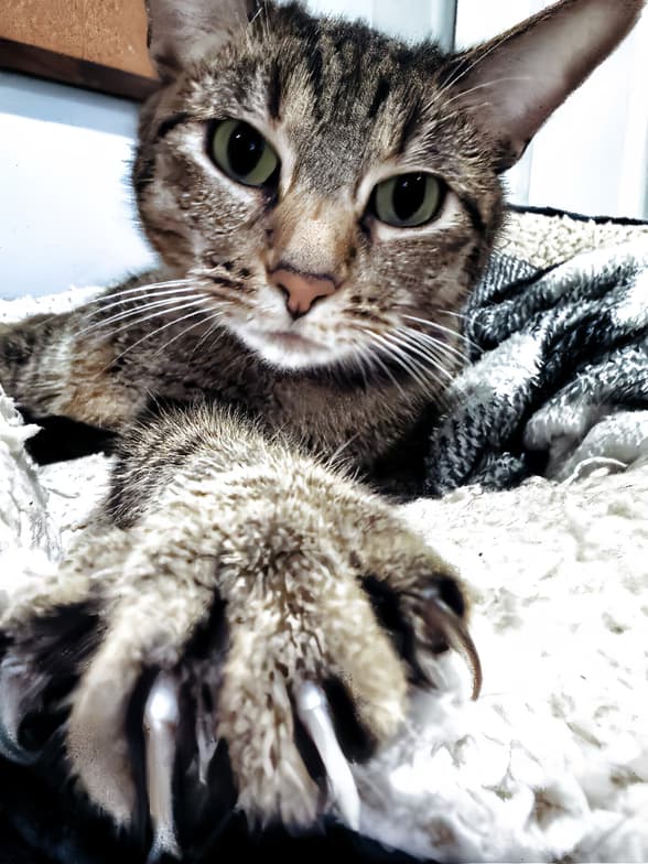 Nathanielenjoying a hobby outside teaching 