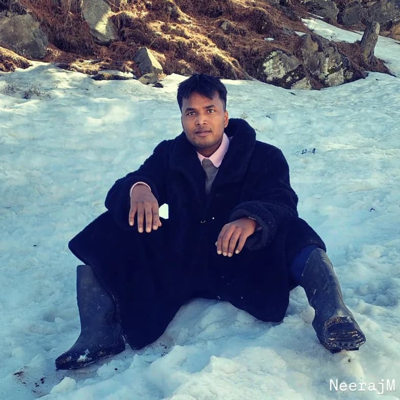 Profile photo of Neeraj Kumar, Architecture tutor at Wiingy 