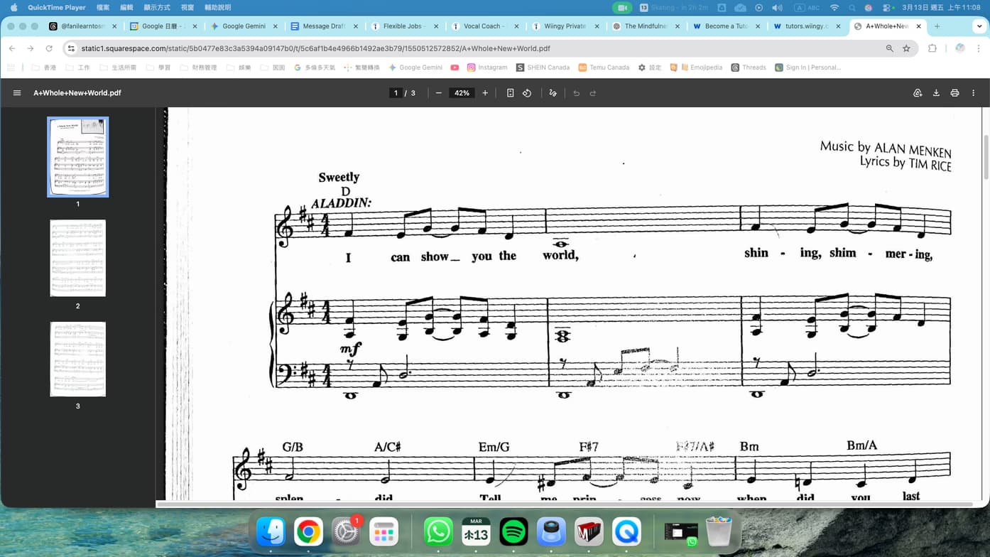 Singing learning materials by Yan Sin 