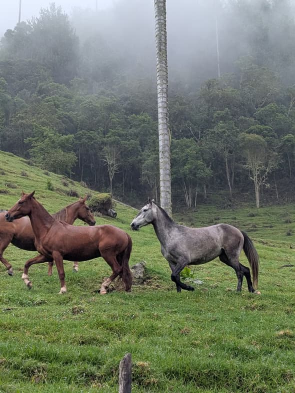 Travel snapshot of Alan during a trip 