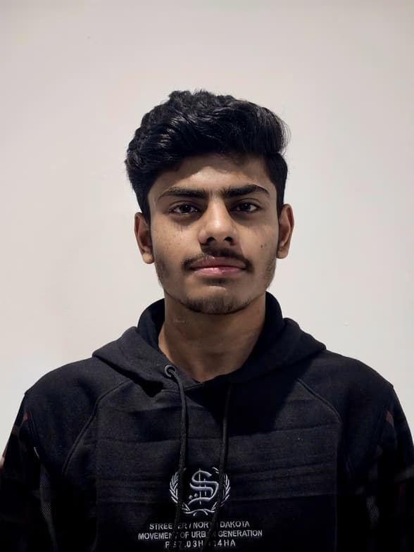 Profile photo of Nirbhay, Computer Science tutor at Wiingy 