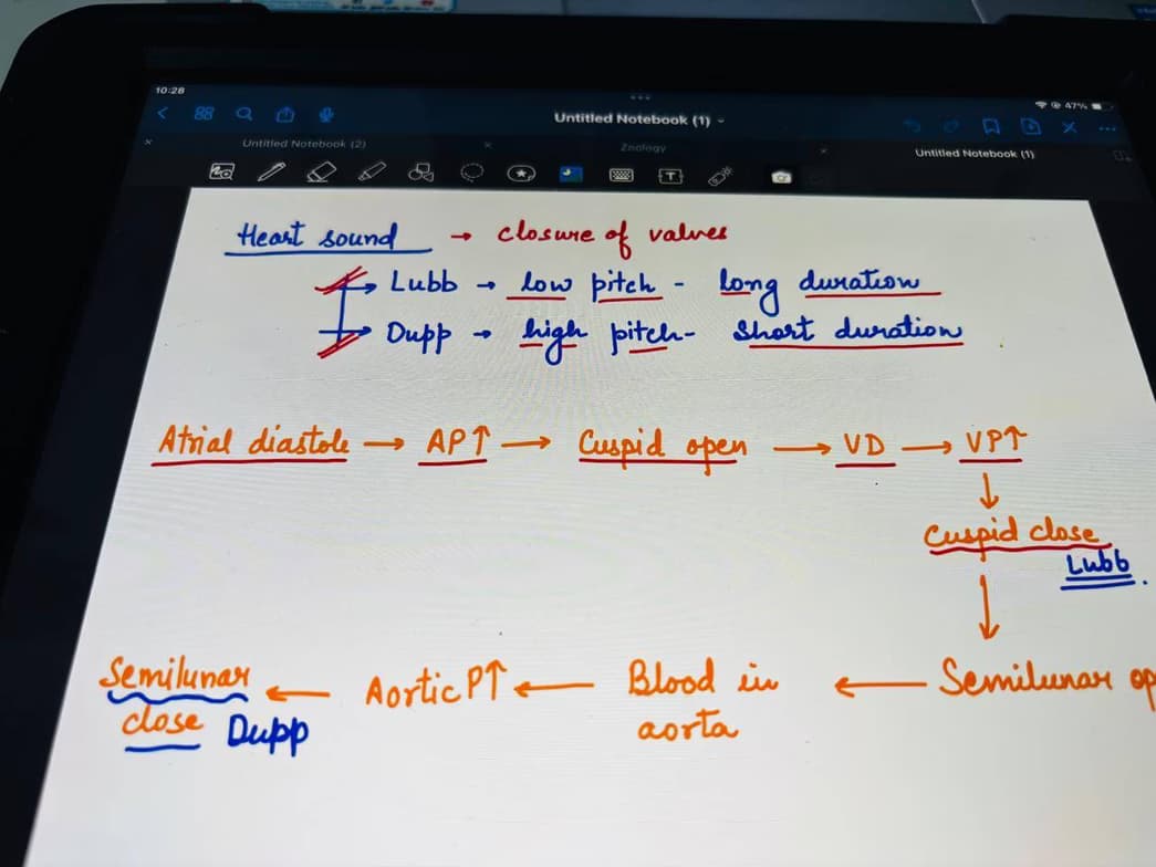Live performance with Biology by jyoti 