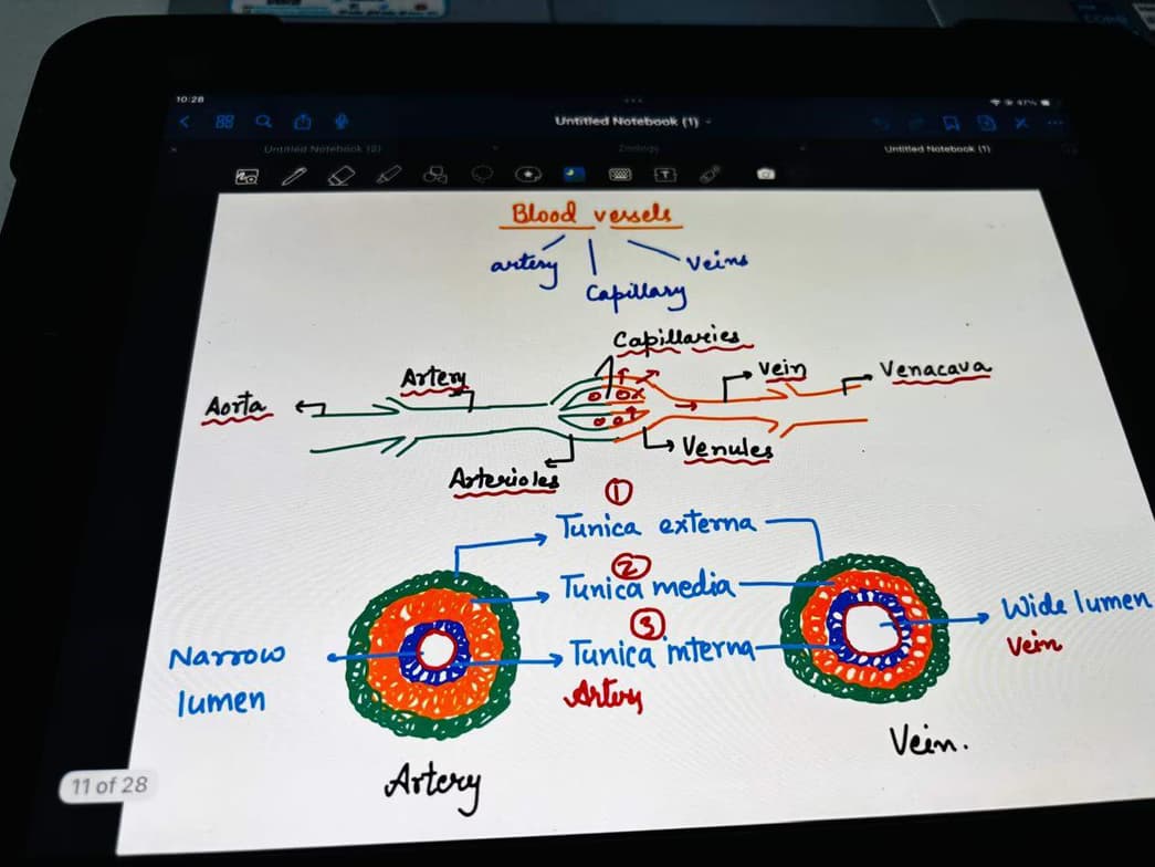 jyoti conducting a lesson 