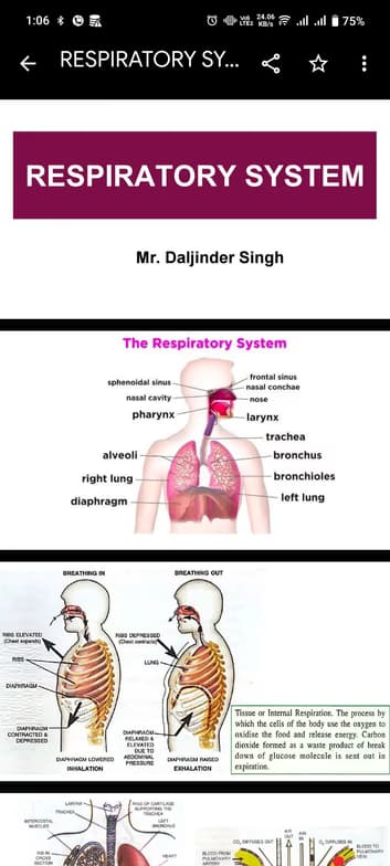 Live performance with Biology by Daljinder 