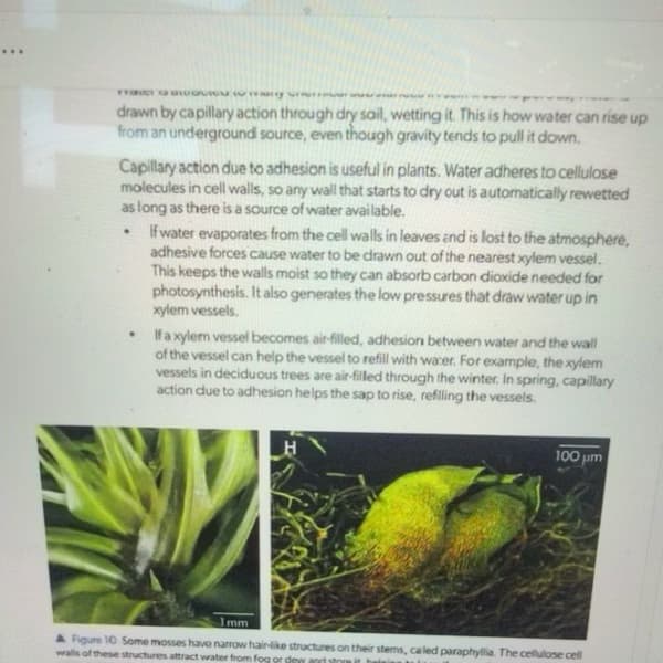 Biology learning materials by Pooja 