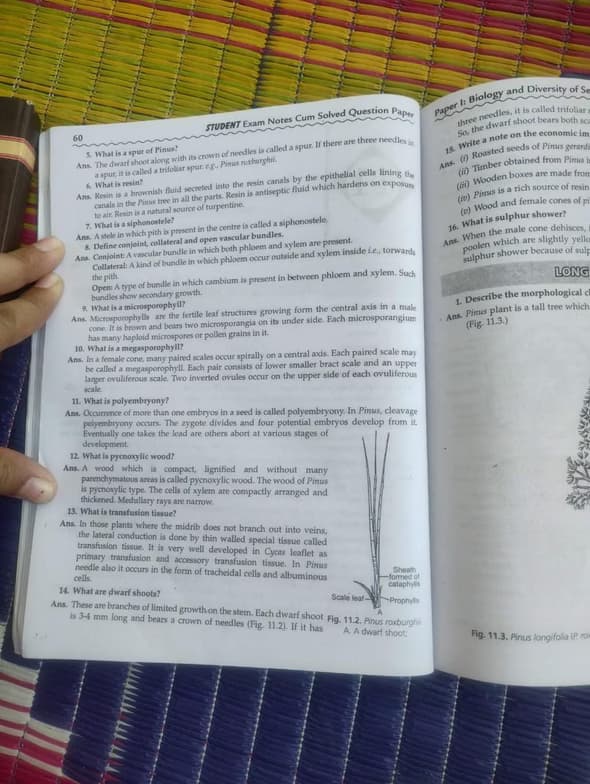 Teaching setup of Shikha for private tutoring 