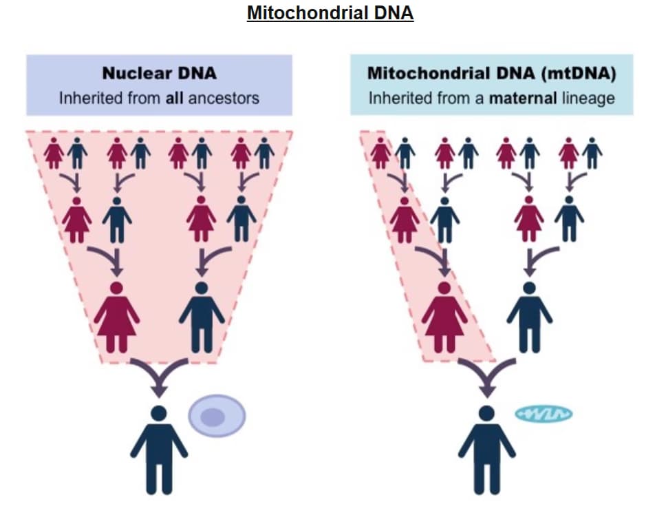 Biology learning materials by SUPRIYA 