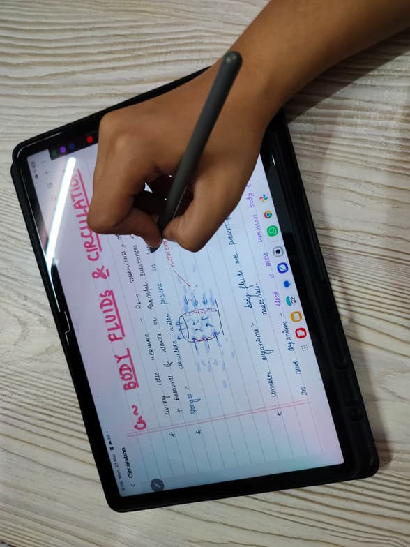 Live performance with Biology by Tisha  