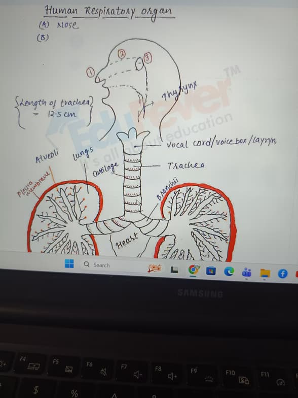 Biology learning materials by Richa  