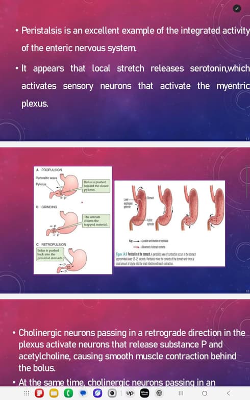Biology learning materials by Yaazhini 