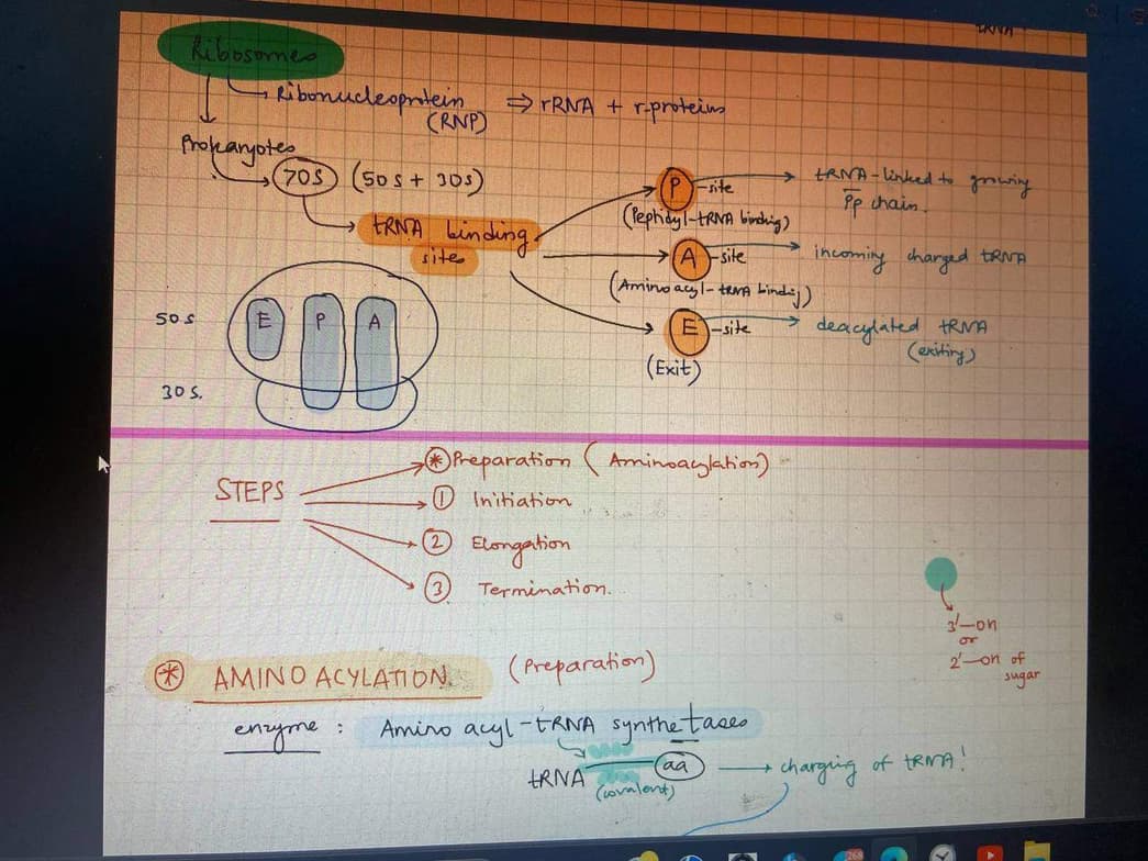 Live performance with Biology by Yoshitha 