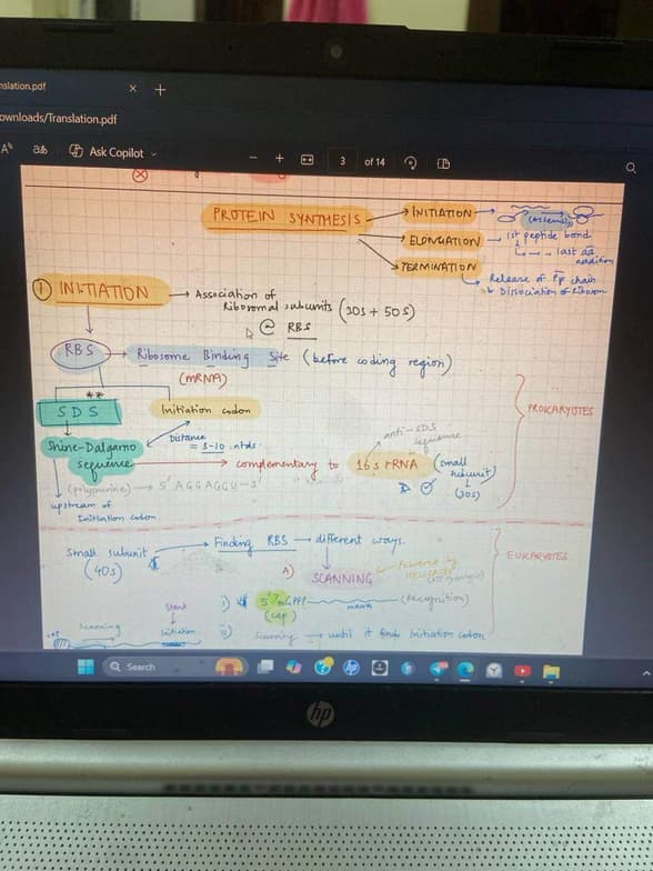 Casual photos of Yoshitha, Wiingy tutor 