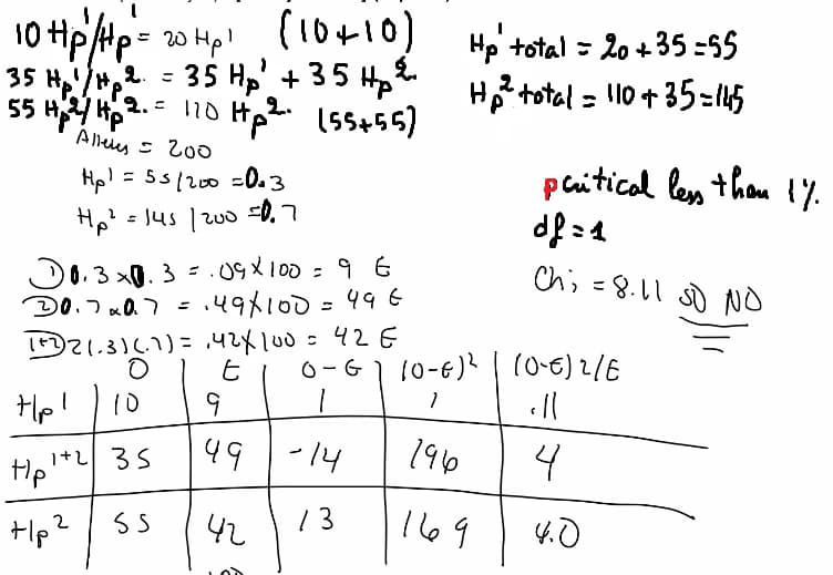 Live performance with Biology by Fayçal 