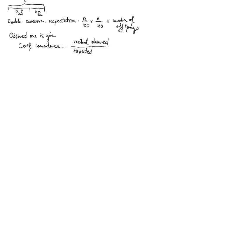 Casual photos of Fayçal, Wiingy tutor 