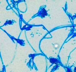 Chemistry learning materials by Samridhi  