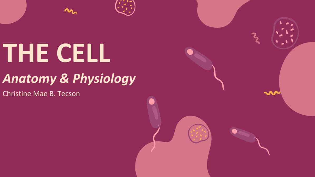 Biology learning materials by CAIRA 