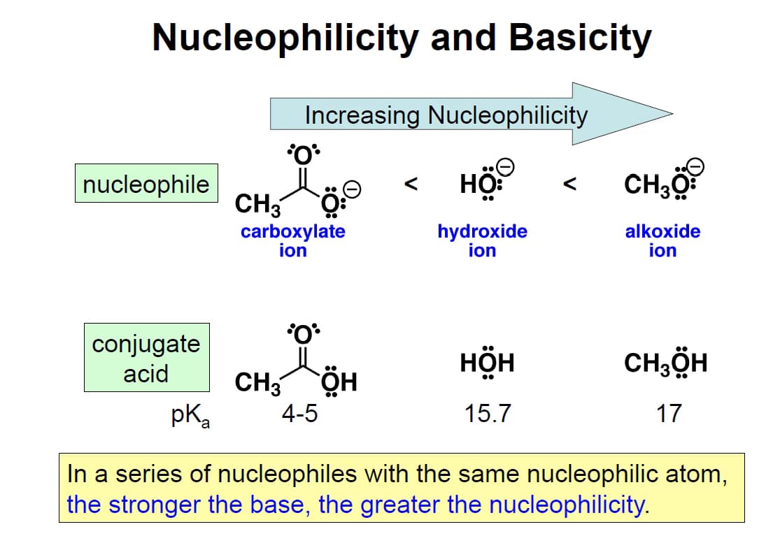 Casual photos of Daisy, Wiingy tutor 