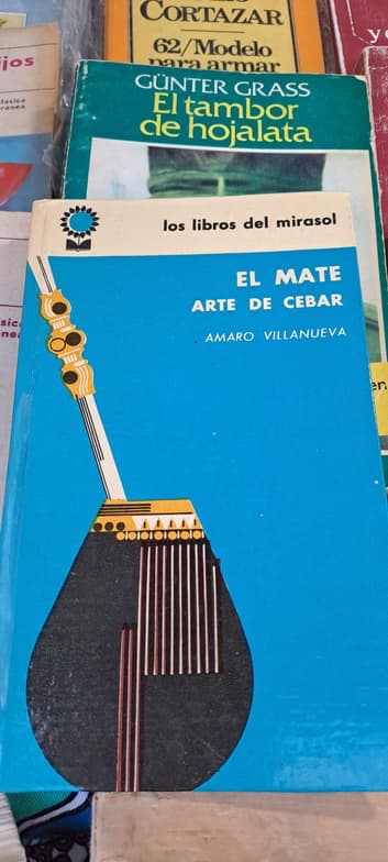 Casual photos of Maria, Wiingy tutor 