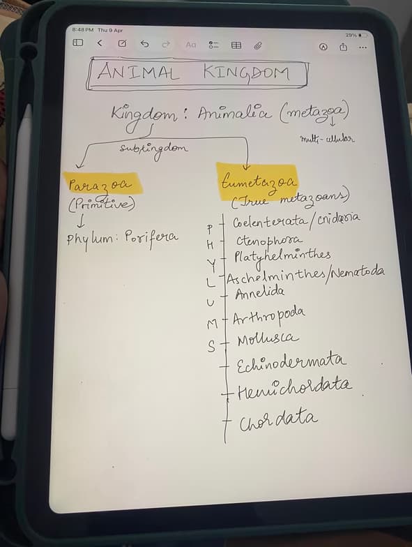 Live performance with Biology by Raghav 