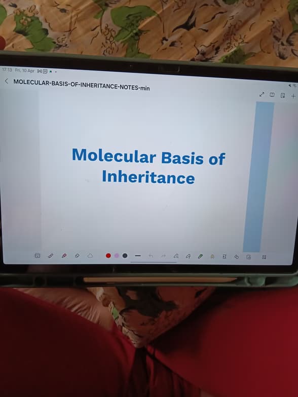 Live performance with Biology by Harshita  