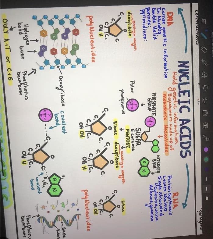Live performance with Biology by Rajan 
