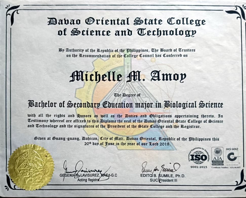 Verified degree or teaching certification of Michelle 