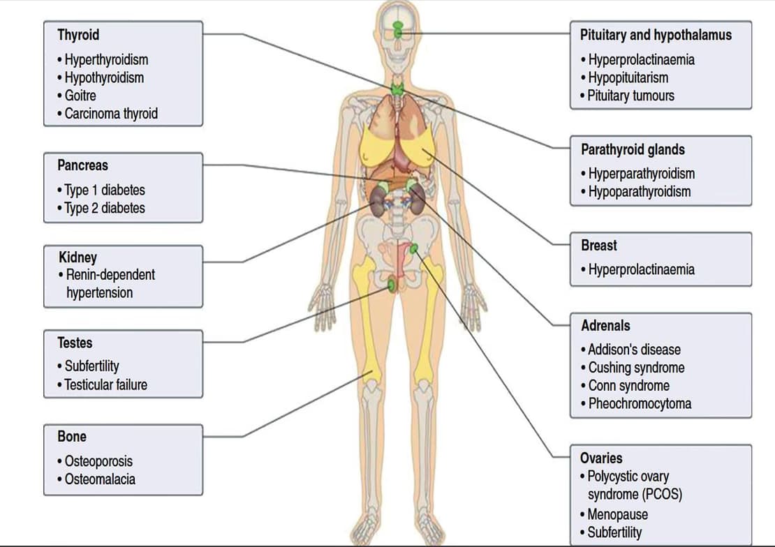 Biology learning materials by Nader  
